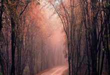 艾菲特壁挂炉热线服务通剖析:燃气壁挂炉家用安装攻略：轻松上手，安全无忧